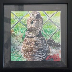 Miniature Collection: Burrowing Owls in my Neighborhood